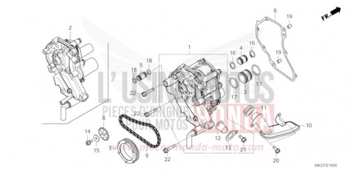 POMPE A HUILE GL1800DAN de 2022